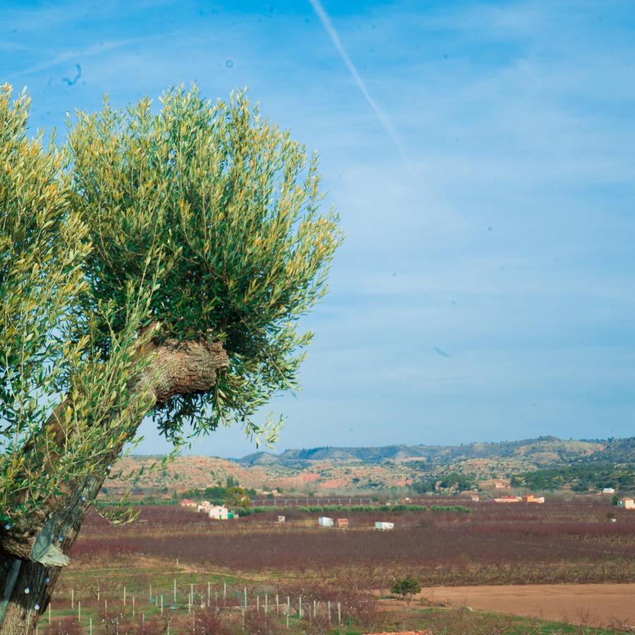 Cabezo Bunuel Alojamiento Rural Calanda Exterior photo
